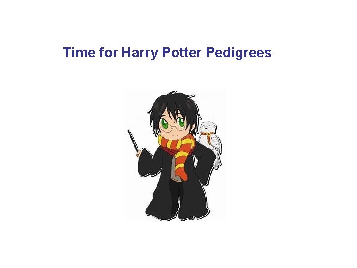 Time for Harry Potter Pedigrees 