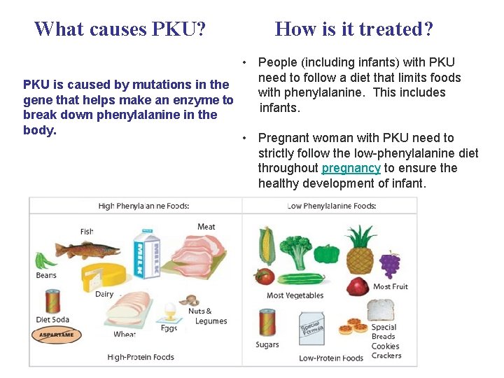 What causes PKU? How is it treated? • People (including infants) with PKU need