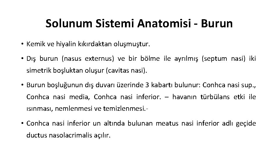 Solunum Sistemi Anatomisi - Burun • Kemik ve hiyalin kıkırdaktan oluşmuştur. • Dış burun