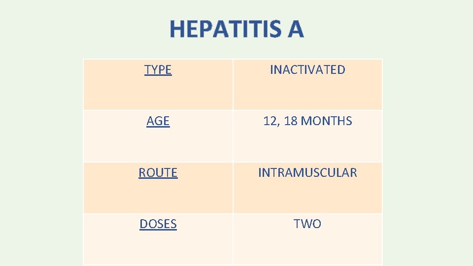 HEPATITIS A TYPE INACTIVATED AGE 12, 18 MONTHS ROUTE INTRAMUSCULAR DOSES TWO 