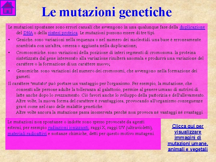Le mutazioni genetiche Le mutazioni spontanee sono errori casuali che avvengono in una qualunque