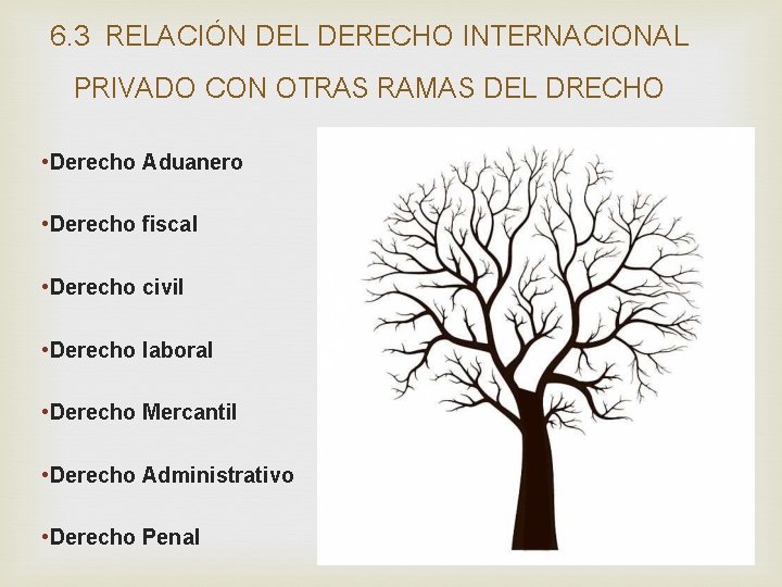 6. 3 RELACIÓN DEL DERECHO INTERNACIONAL PRIVADO CON OTRAS RAMAS DEL DRECHO • Derecho 6. 3 RELACIÓN DEL DERECHO INTERNACIONAL PRIVADO CON OTRAS RAMAS DEL DRECHO • Derecho