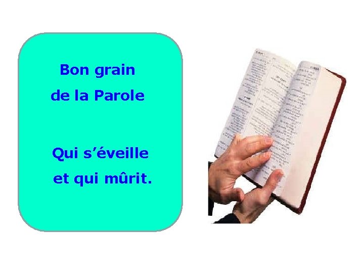 Bon grain de la Parole Qui s’éveille et qui mûrit. 