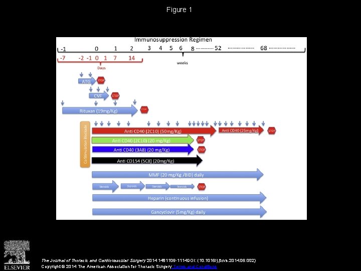 Figure 1 The Journal of Thoracic and Cardiovascular Surgery 2014 1481106 -1114 DOI: (10.