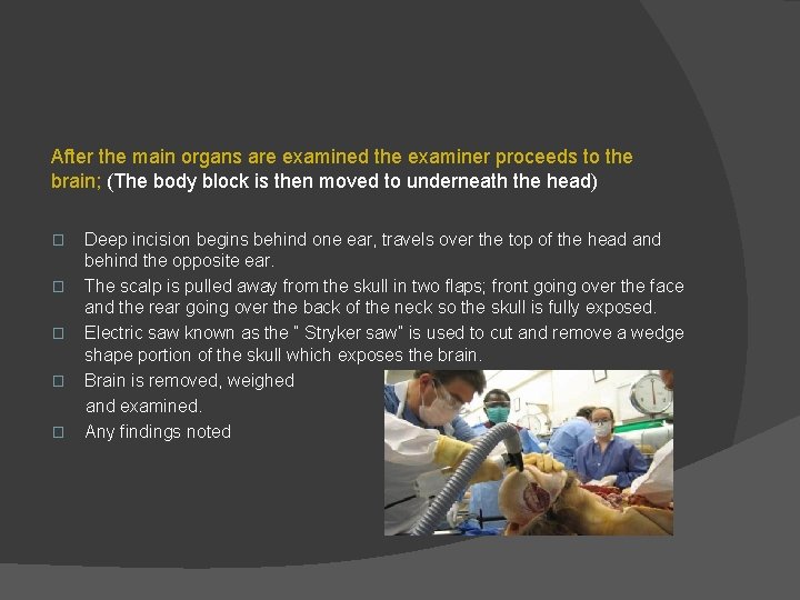 After the main organs are examined the examiner proceeds to the brain; (The body