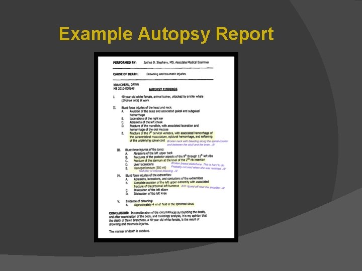 Example Autopsy Report 