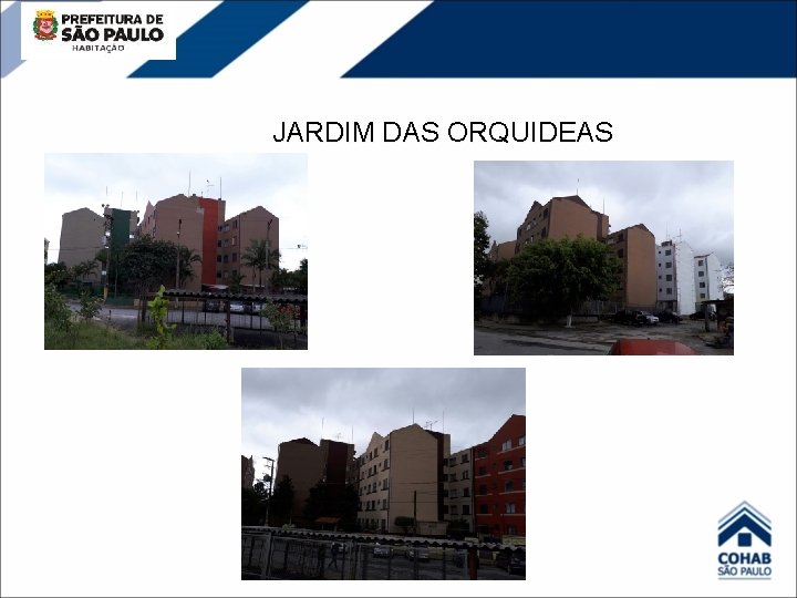JARDIM DAS ORQUIDEAS 