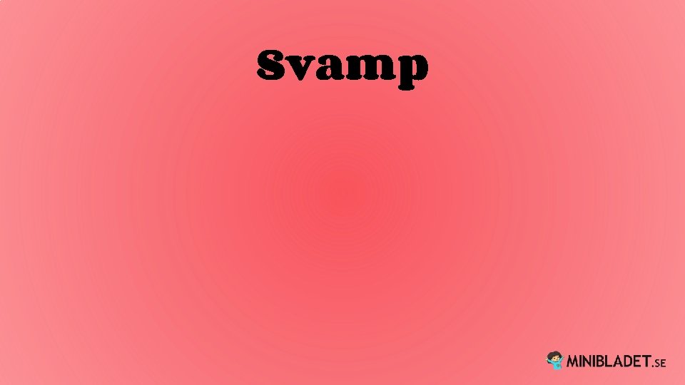 Svamp 