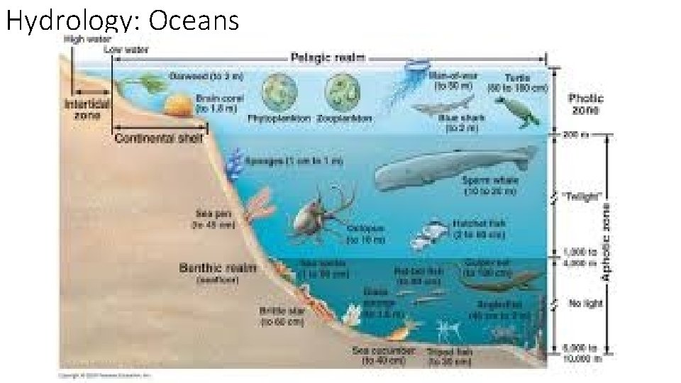 Hydrology: Oceans 