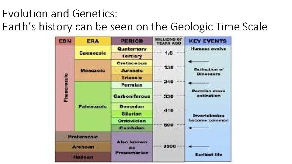 Evolution and Genetics: Earth’s history can be seen on the Geologic Time Scale 