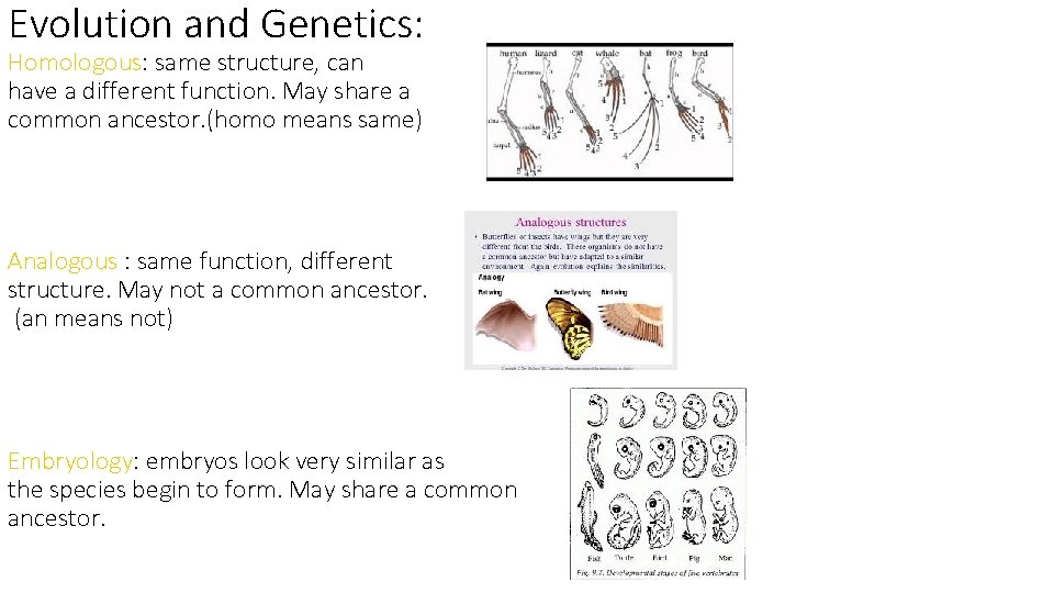 Evolution and Genetics: Homologous: same structure, can have a different function. May share a