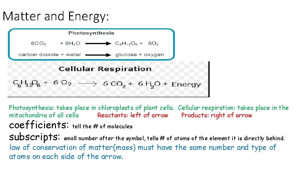 Matter and Energy: Photosynthesis: takes place in chloroplasts of plant cells. Cellular respiration: takes