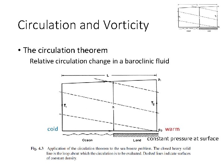 Circulation and Vorticity • The circulation theorem Relative circulation change in a baroclinic fluid