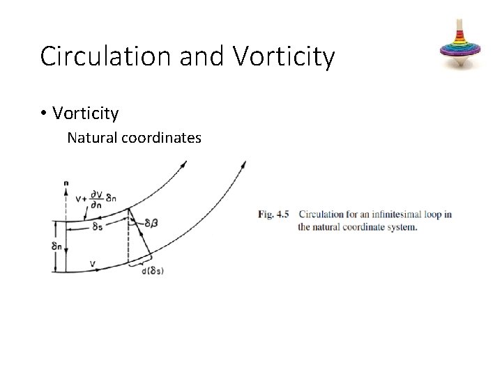 Circulation and Vorticity • Vorticity Natural coordinates 