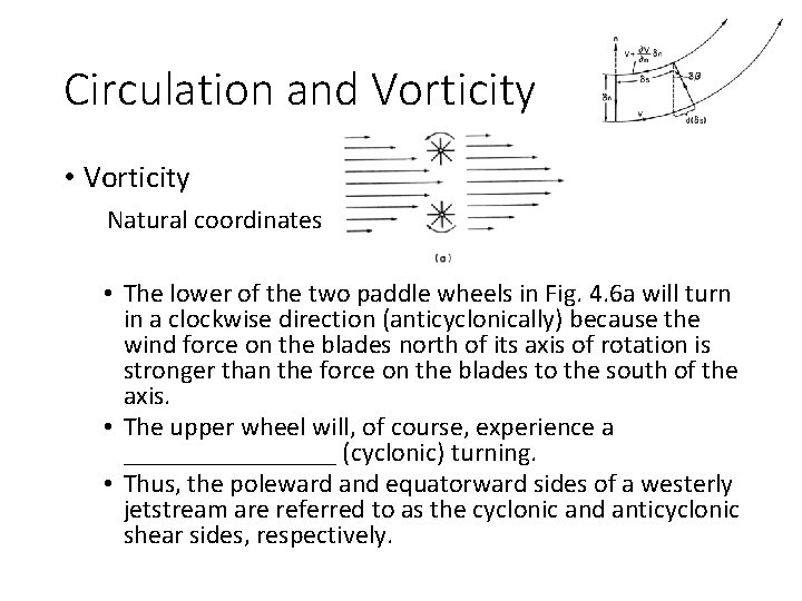 Circulation and Vorticity • Vorticity Natural coordinates • The lower of the two paddle