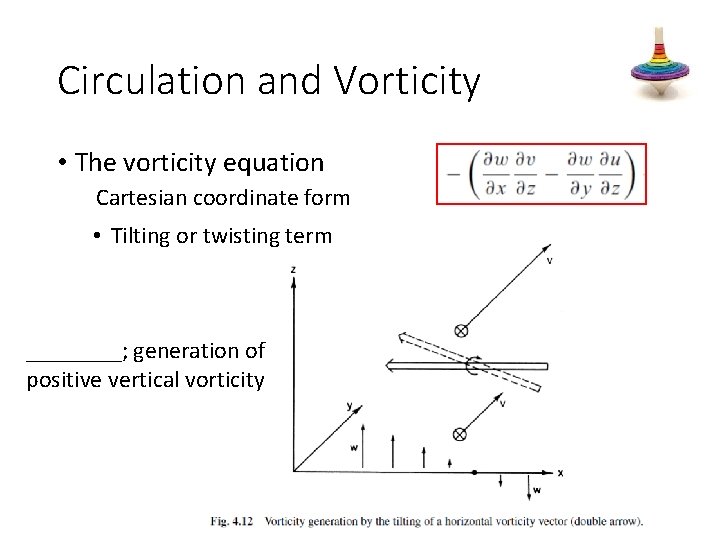 Circulation and Vorticity • The vorticity equation Cartesian coordinate form • Tilting or twisting