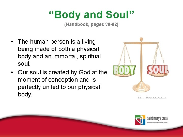 “Body and Soul” (Handbook, pages 80 -82) • The human person is a living