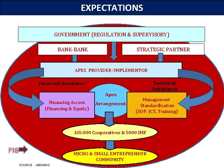 EXPECTATIONS GOVERNMENT (REGULATION & SUPERVISORY) BANK-BANK STRATEGIC PARTNER APEX PROVIDER/IMPLEMENTOR Financial Assistance Apex s
