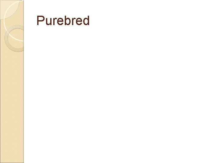 Purebred 