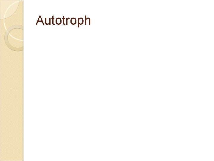 Autotroph 