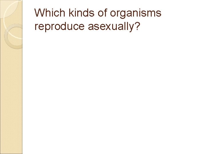 Which kinds of organisms reproduce asexually? 