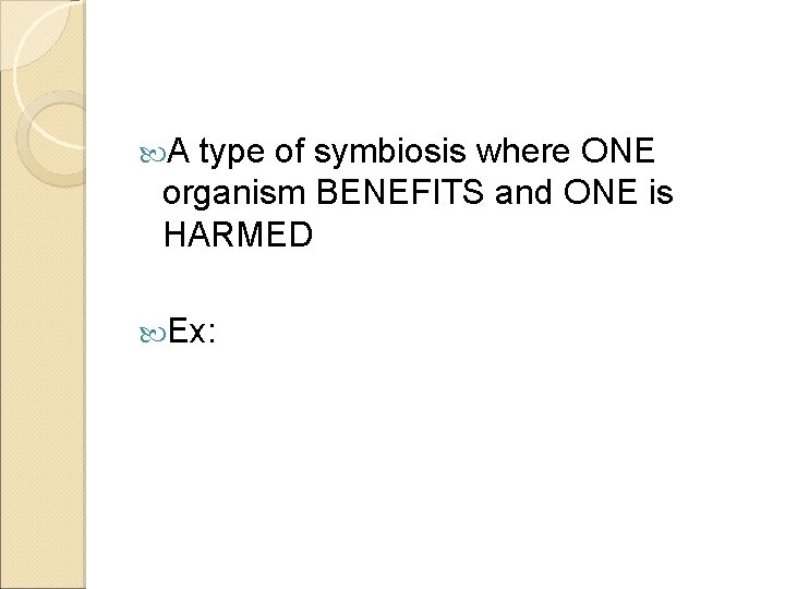  A type of symbiosis where ONE organism BENEFITS and ONE is HARMED Ex: