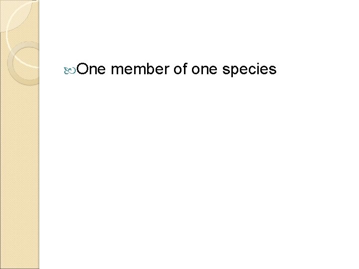  One member of one species 