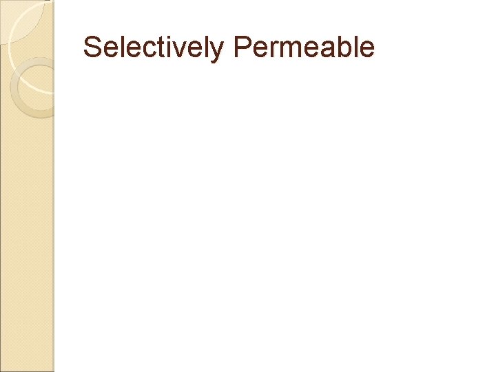 Selectively Permeable 