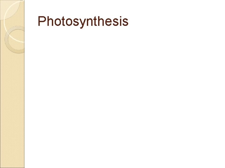 Photosynthesis 