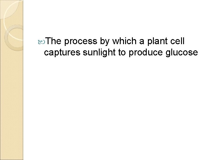  The process by which a plant cell captures sunlight to produce glucose 