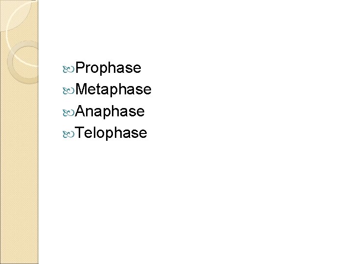  Prophase Metaphase Anaphase Telophase 