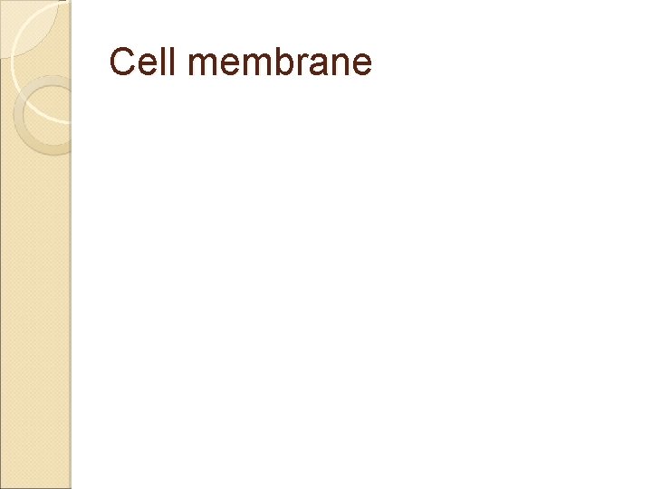 Cell membrane 