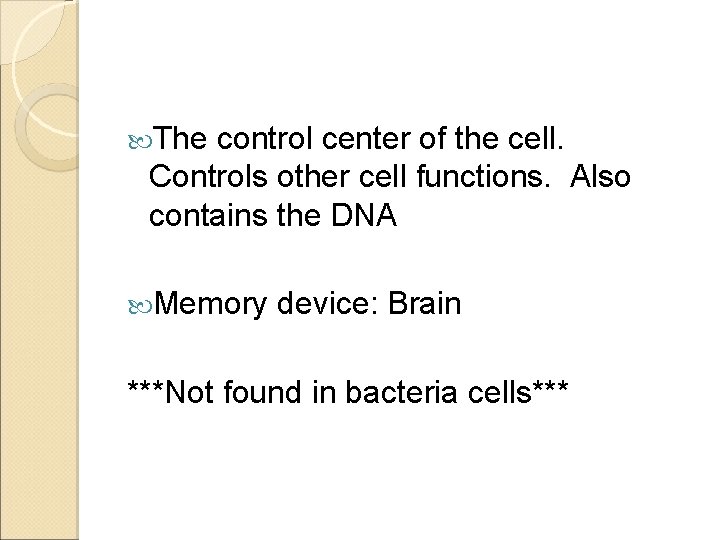  The control center of the cell. Controls other cell functions. Also contains the