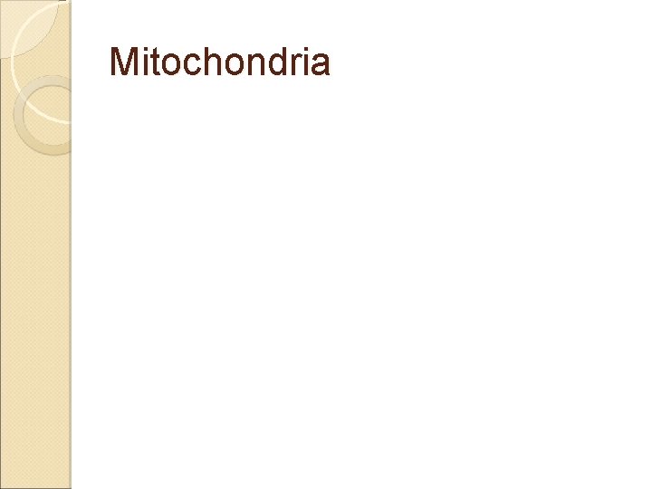 Mitochondria 