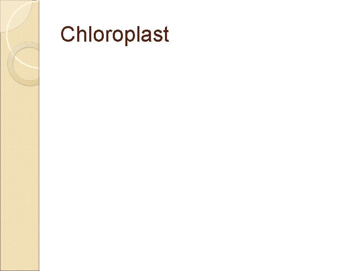 Chloroplast 