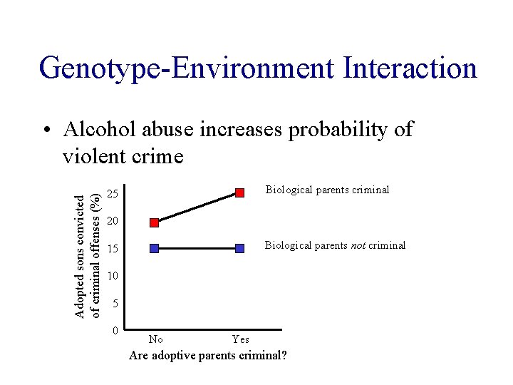 Genotype-Environment Interaction Adopted sons convicted of criminal offenses (%) • Alcohol abuse increases probability