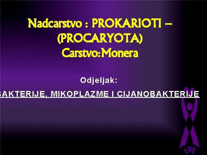 Nadcarstvo : PROKARIOTI – (PROCARYOTA) Carstvo: Monera Odjeljak: BAKTERIJE, MIKOPLAZME I CIJANOBAKTERIJE 