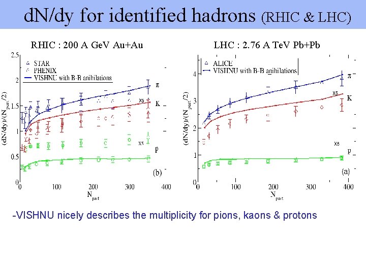 d. N/dy for identified hadrons (RHIC & LHC) RHIC : 200 A Ge. V