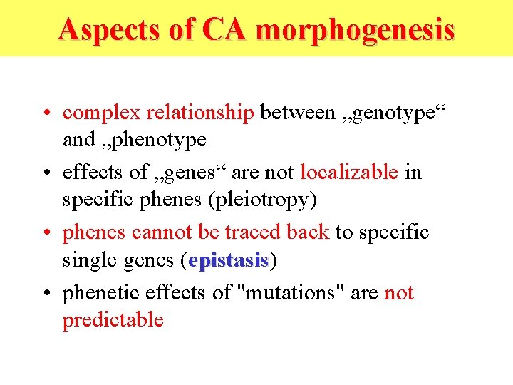 Aspects of CA morphogenesis • complex relationship between „genotype“ and „phenotype • effects of