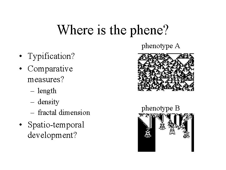 Where is the phene? phenotype A • Typification? • Comparative measures? – length –