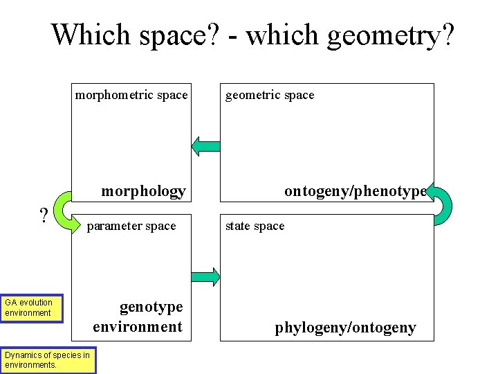 Which space? - which geometry? morphometric space morphology ? parameter space GA evolution environment