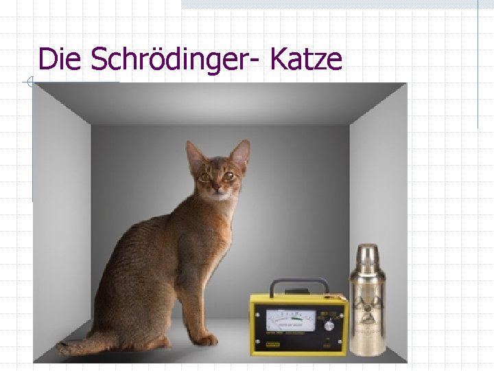 Die Schrödinger- Katze 