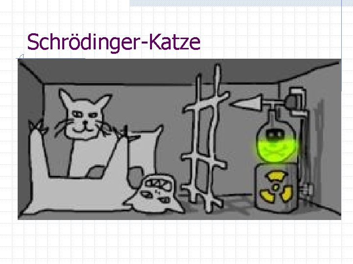 Schrödinger-Katze 