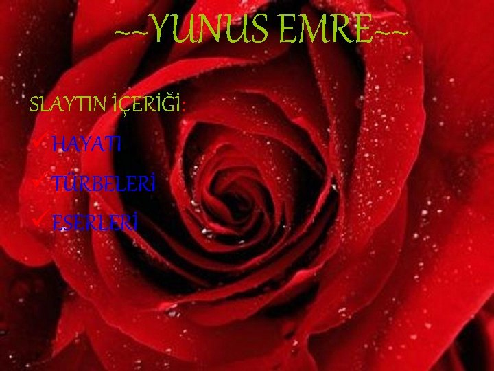 ~~YUNUS EMRE~~ SLAYTIN İÇERİĞİ: üHAYATI üTÜRBELERİ üESERLERİ 