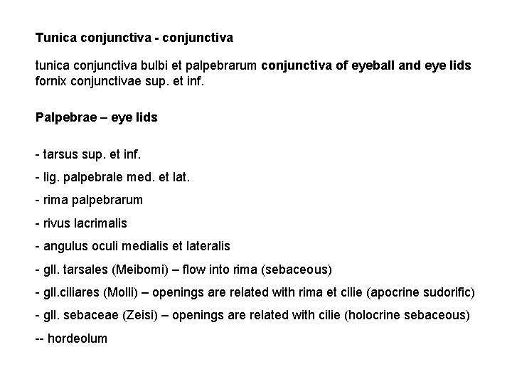 Tunica conjunctiva - conjunctiva tunica conjunctiva bulbi et palpebrarum conjunctiva of eyeball and eye