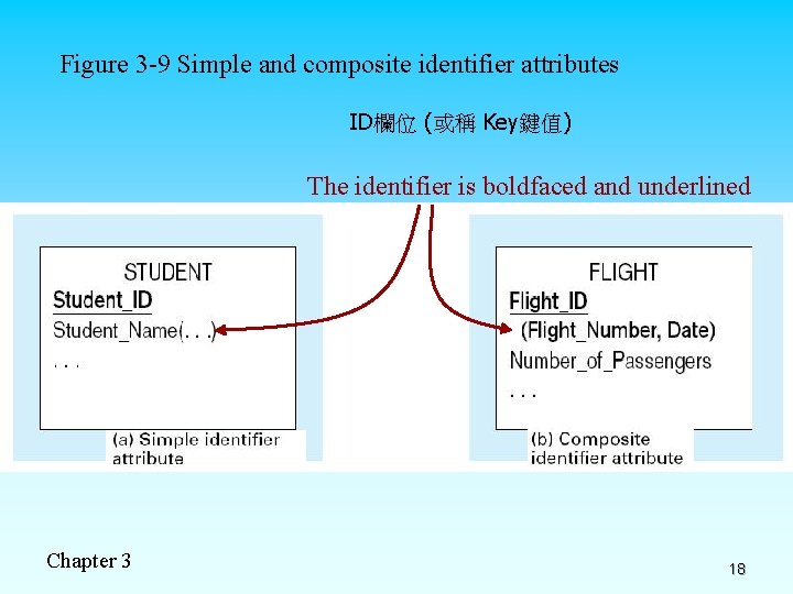 Figure 3 -9 Simple and composite identifier attributes ID欄位 (或稱 Key鍵值) The identifier is