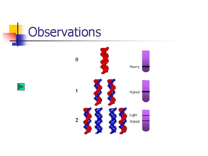 Observations Observations