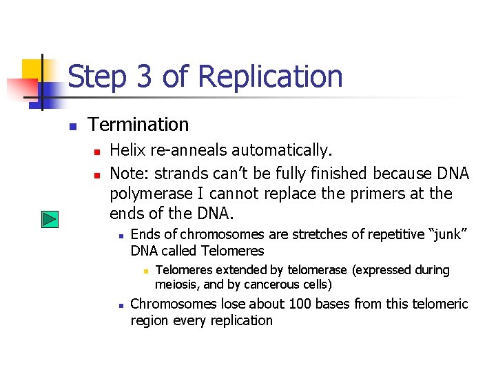 Step 3 of Replication n Termination n n Helix re-anneals automatically. Note: strands can’t Step 3 of Replication n Termination n n Helix re-anneals automatically. Note: strands can’t