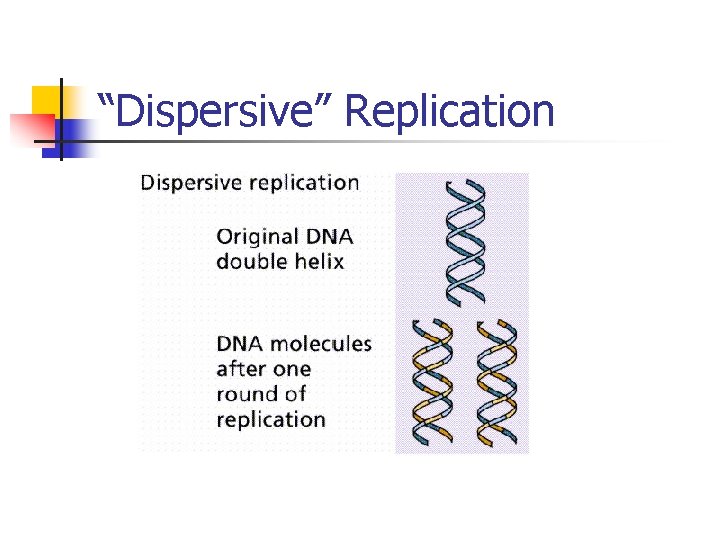 “Dispersive” Replication “Dispersive” Replication