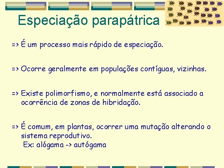 Especiação parapátrica => É um processo mais rápido de especiação. => Ocorre geralmente em Especiação parapátrica => É um processo mais rápido de especiação. => Ocorre geralmente em